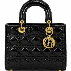 Glossy Black Quilted Lady Bag